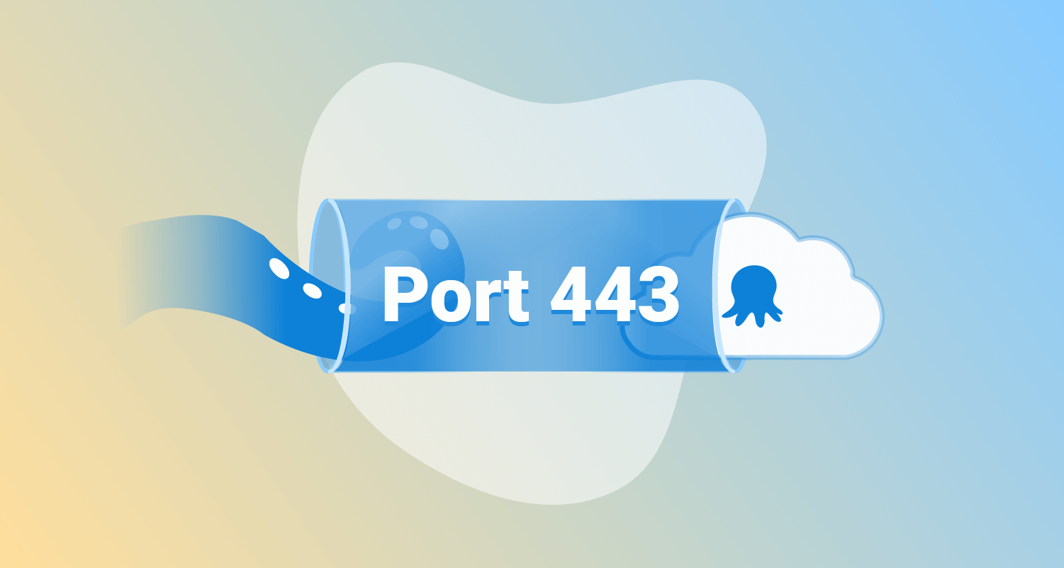 Port 443 between an Octopus Tentacle and a cloud with an Octopus logo on it.
