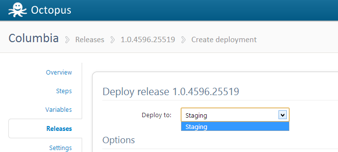 Deploy to environment
