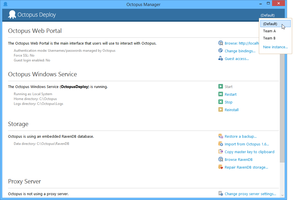 Managing multiple instances