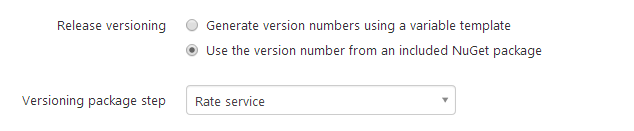 Package version format