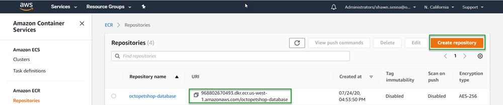 An existing ECR repo