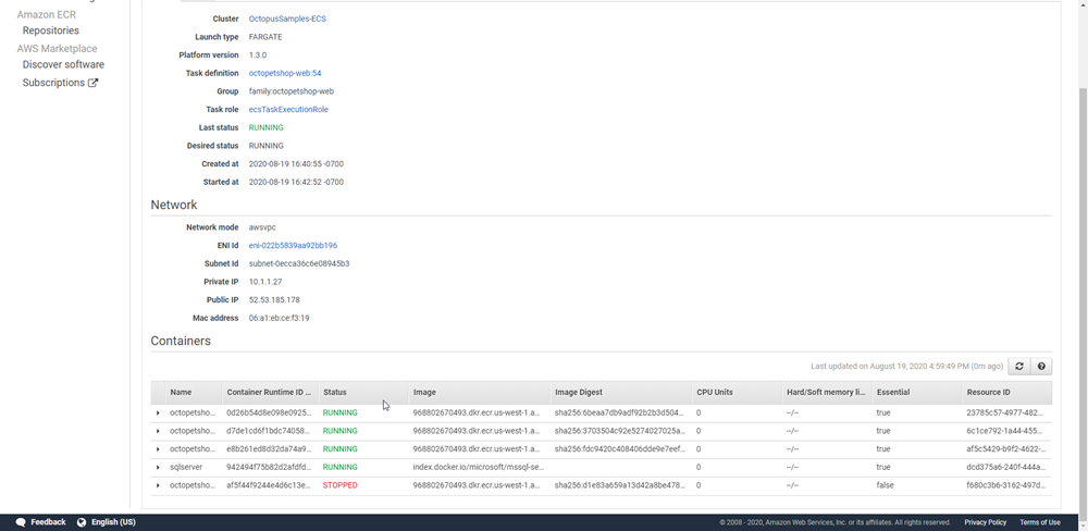 AWS ECS Fargate running task