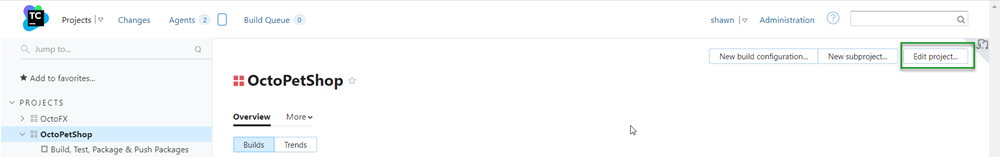 TeamCity edit project button