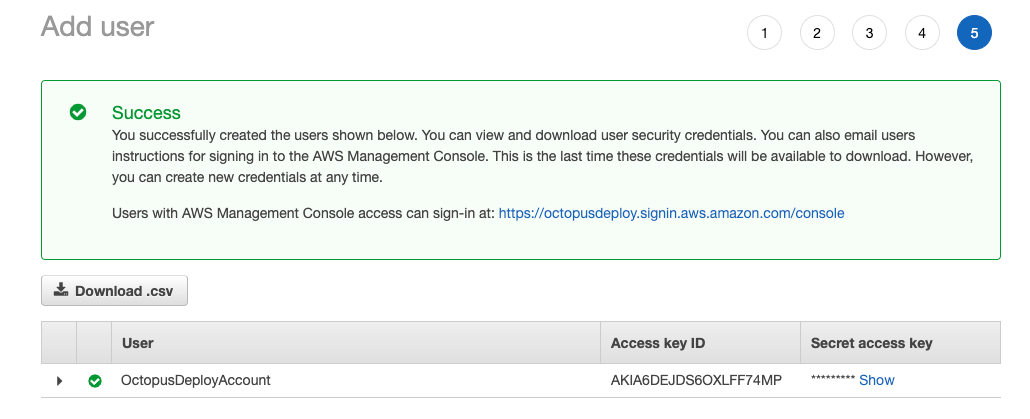 Successfully added an IAM user