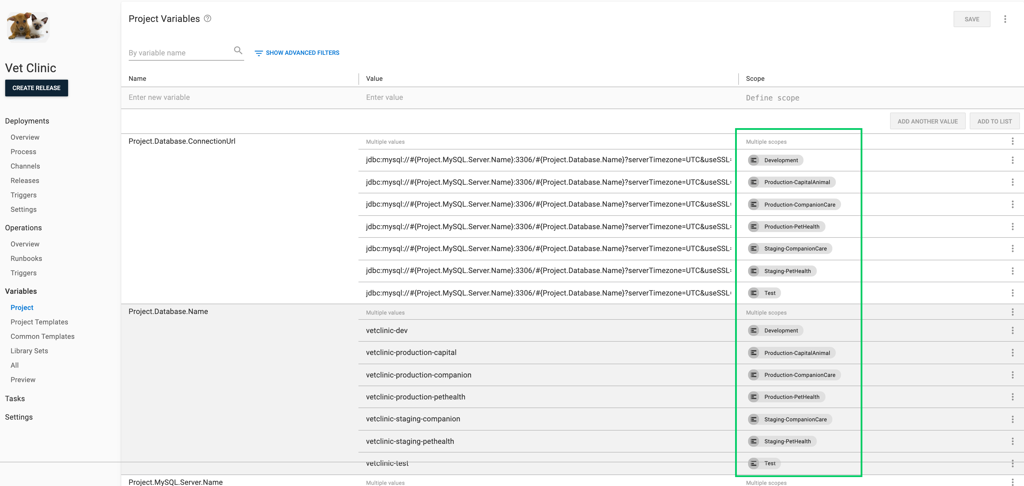 Vet Clinic project variables