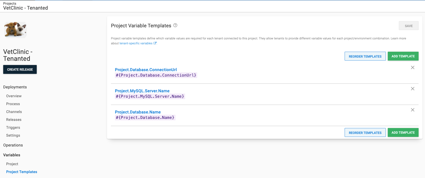 Vet Clinic Tenanted project variable templates