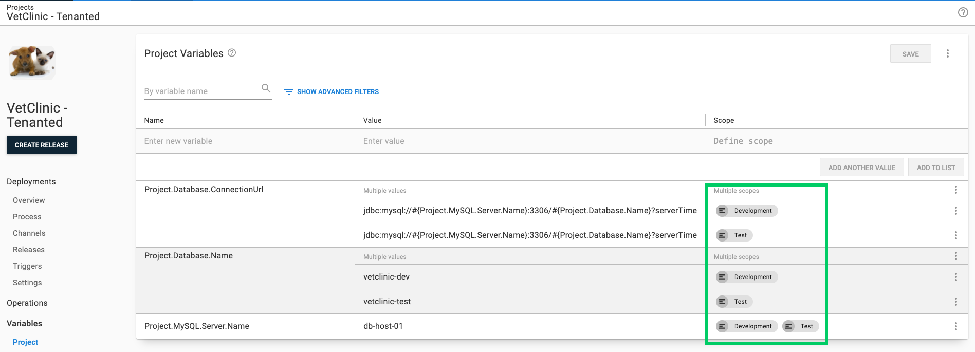 Vet Clinic Tenanted project variables