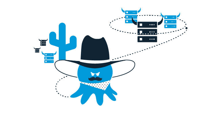 Octopus cowboy avatar lassoing servers