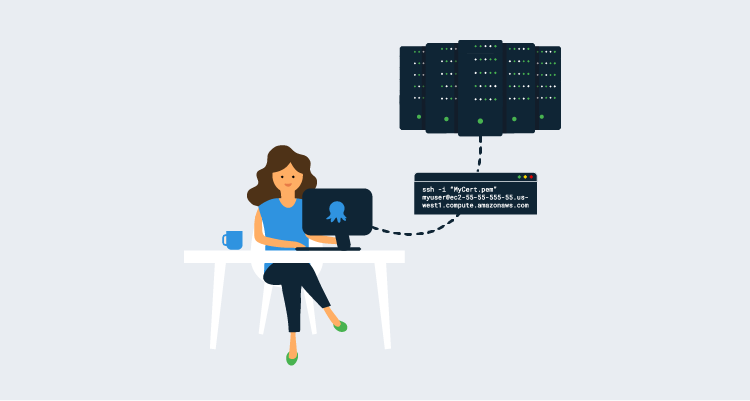 Avatar lady in a blue t-shirt sitting at a desk with a screen with an Octopus Deploy logo on the back