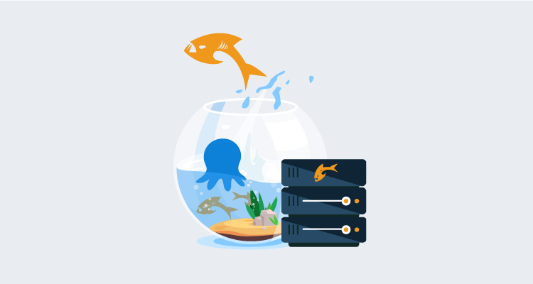 Payara logo on web servers, and Octopus and Payara fish playing in a fish bowl.