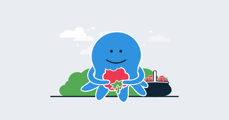 Octopus enjoying a Raspberry Pi