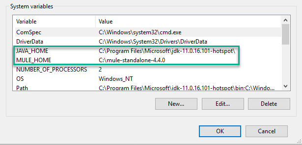 Environment variables for mule