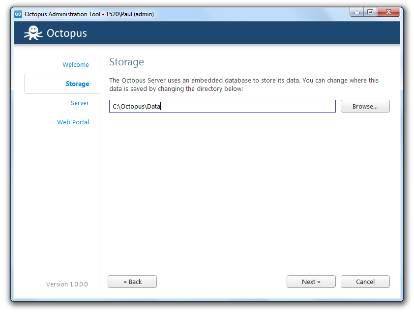 The Storage tab during installation