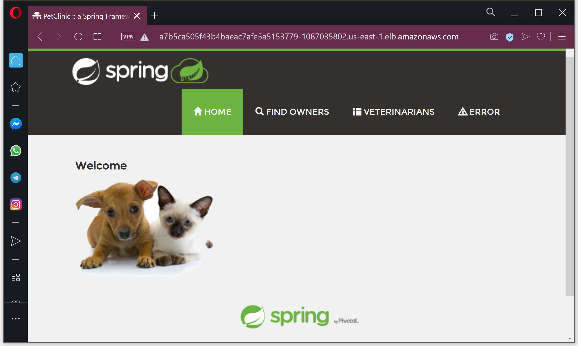 PetClinic live and public