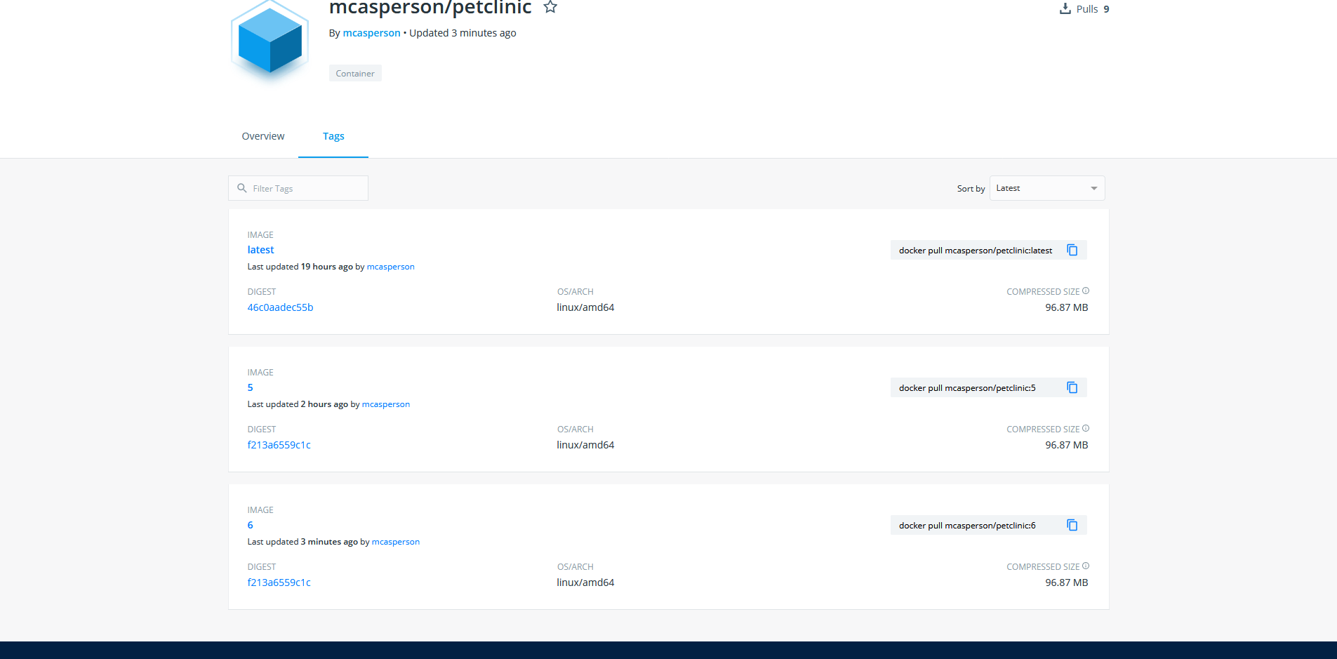 The resulting image in Docker Hub