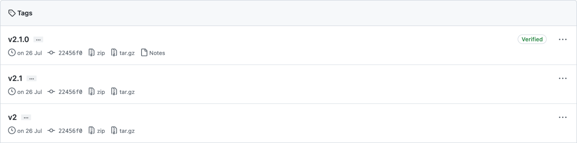 Screenshot of SemVer Release Tag Support