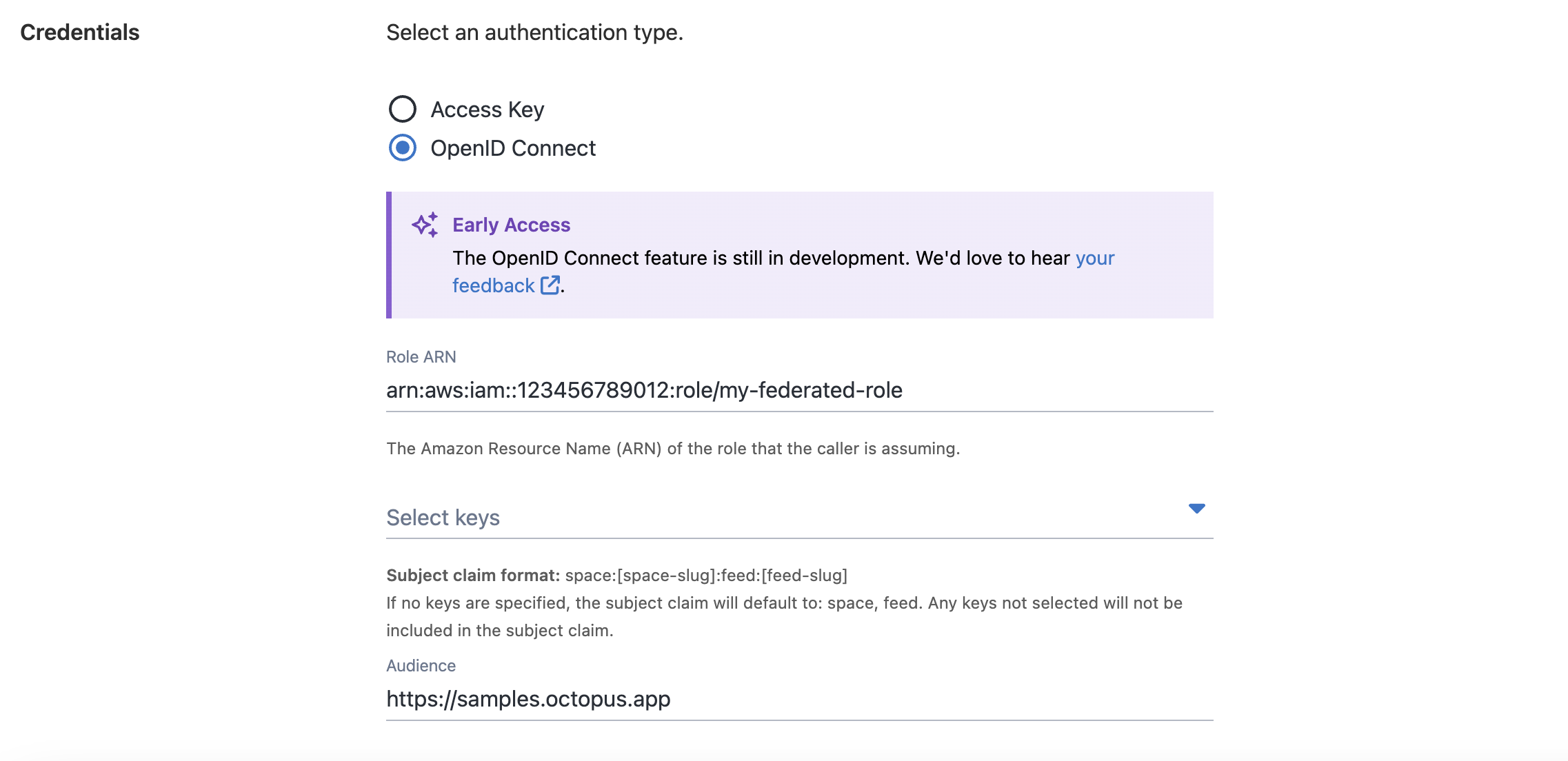 Screenshot of the AWS ECR OIDC Credentials form fields.