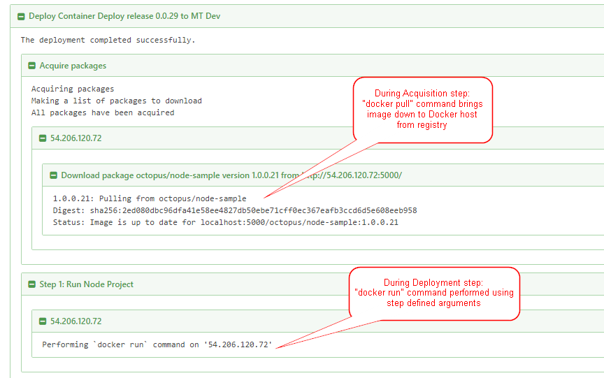 Docker deployment in Octopus