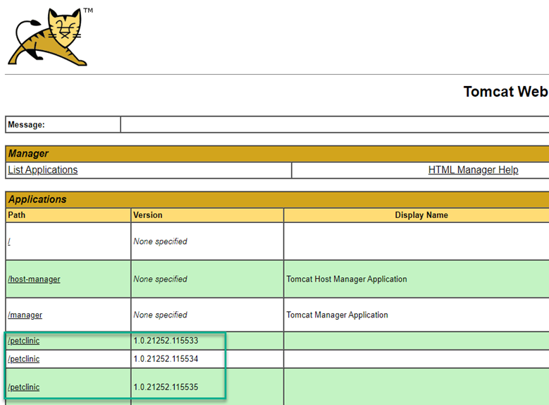 Screen shot from Tomcat Manager showing Application paths and versions