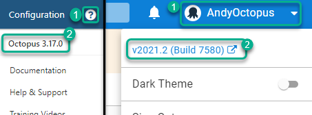 Where to check the Octopus version in old and new versions